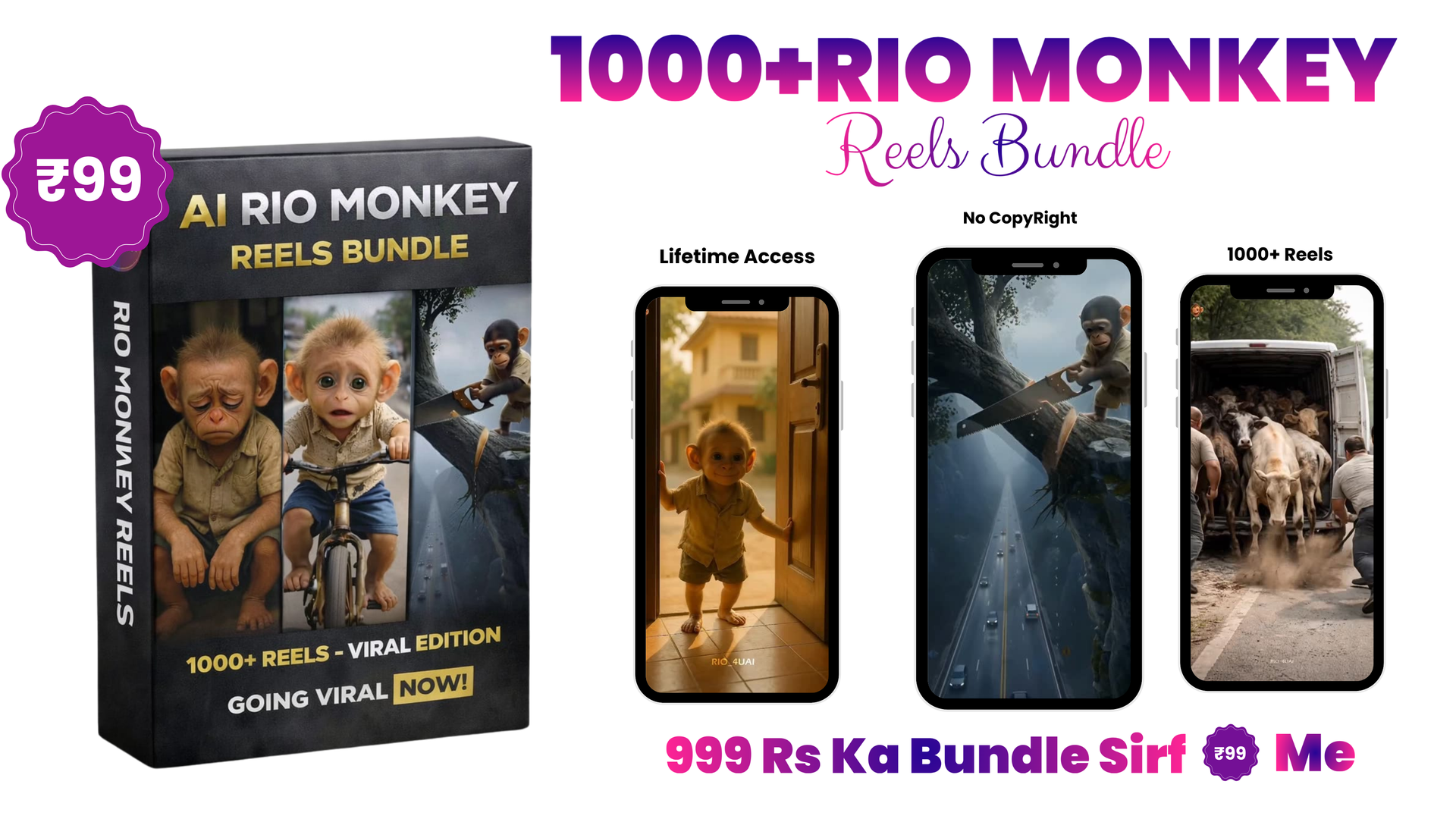 Bundle 24