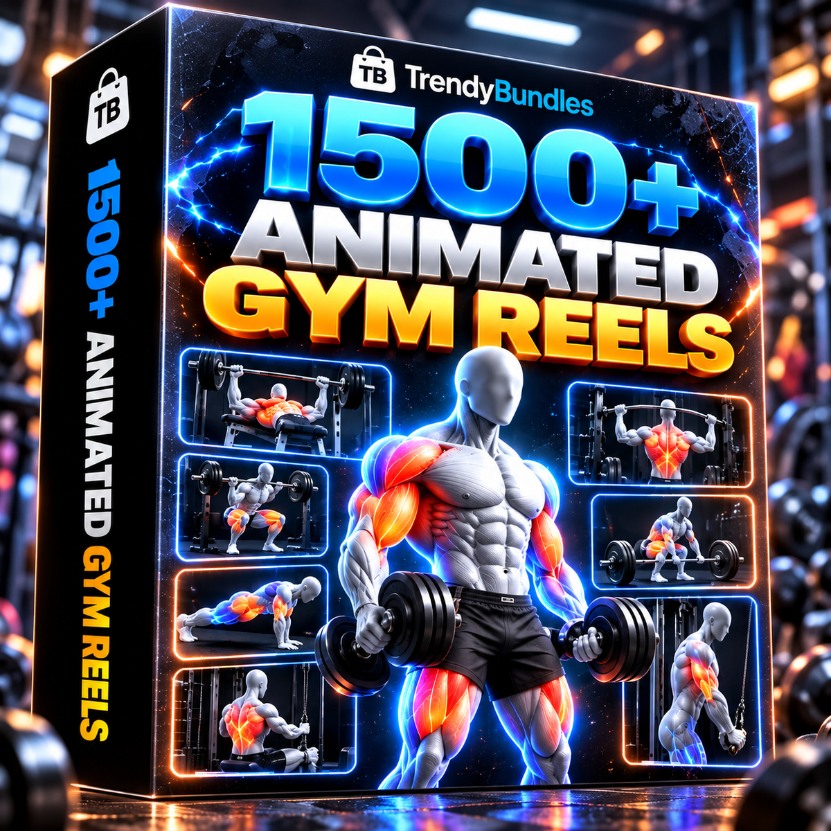 1500+ Animated Gym Reels Bundle